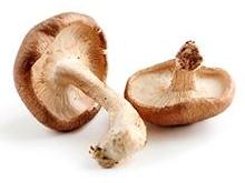 shiitake-1